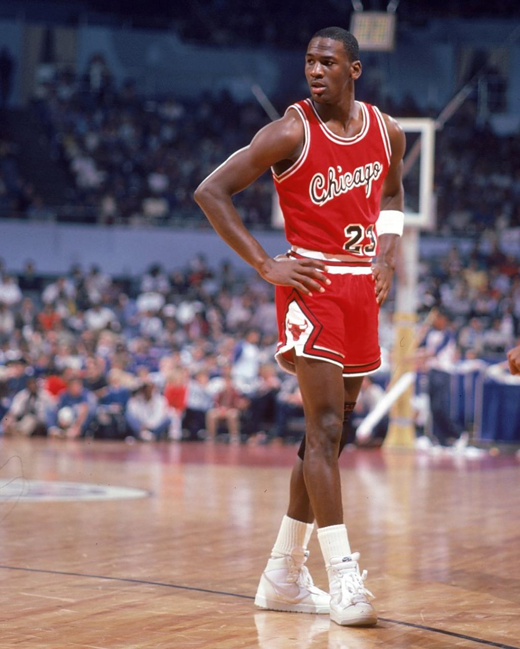 重要的警示 重要的警示