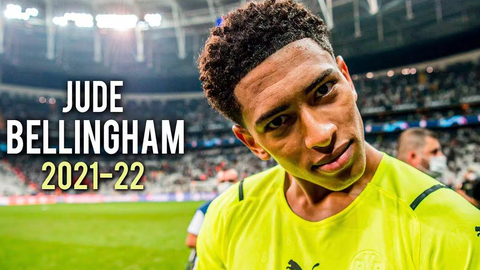 正是这种新 正是这种新