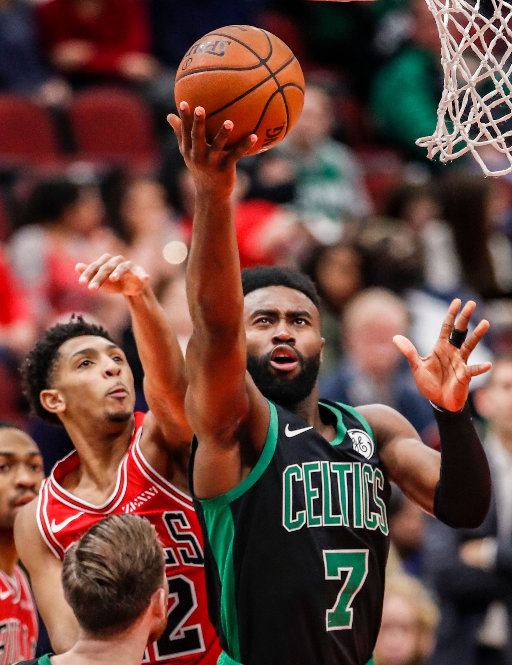 凯利的价值 凯利的价值